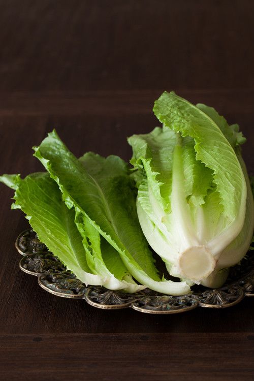 Romaine Lettuce (Cos Lettuce)