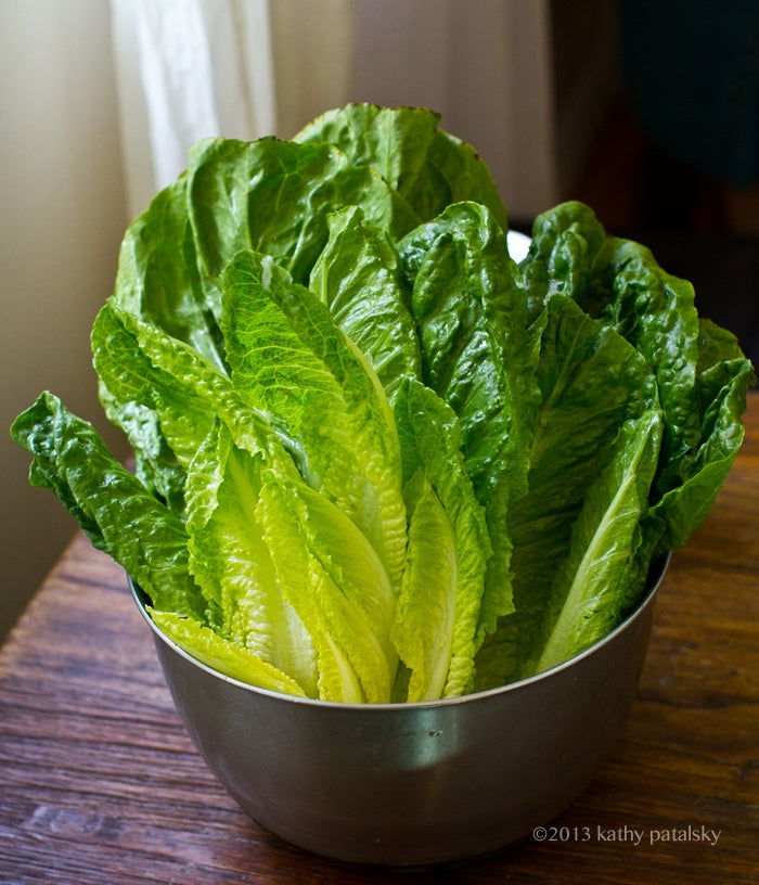 Romaine Lettuce (Cos Lettuce)