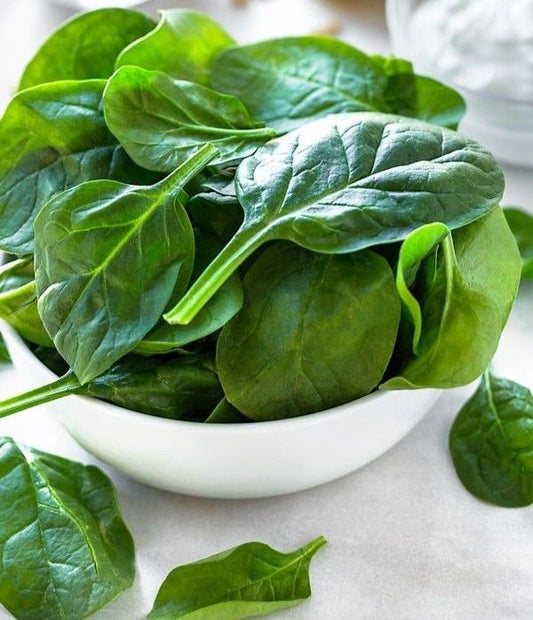 Baby Palak (Baby Spinach) – Fresh & Tender